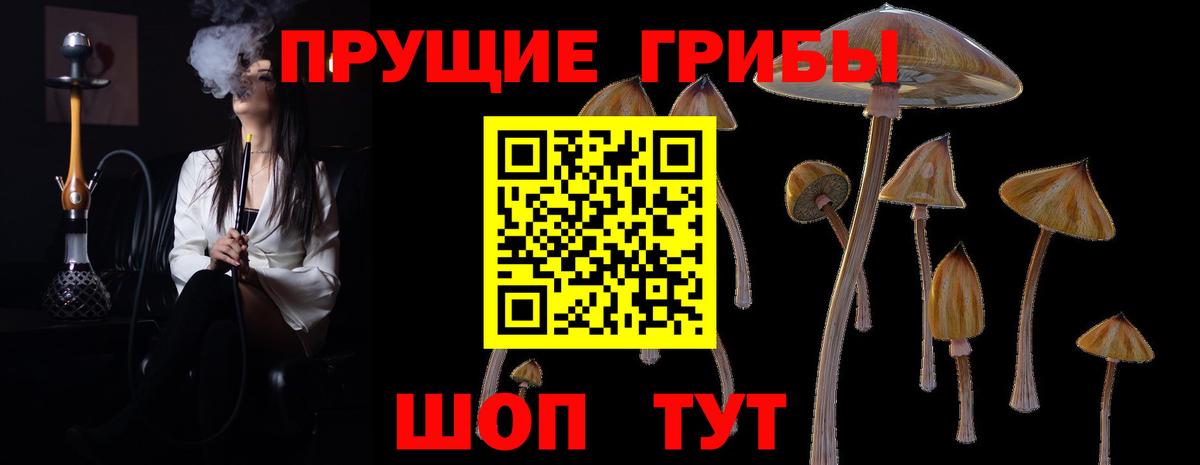 Баксан  Псилоцибиновые грибы мицелий  Вход с VPN 